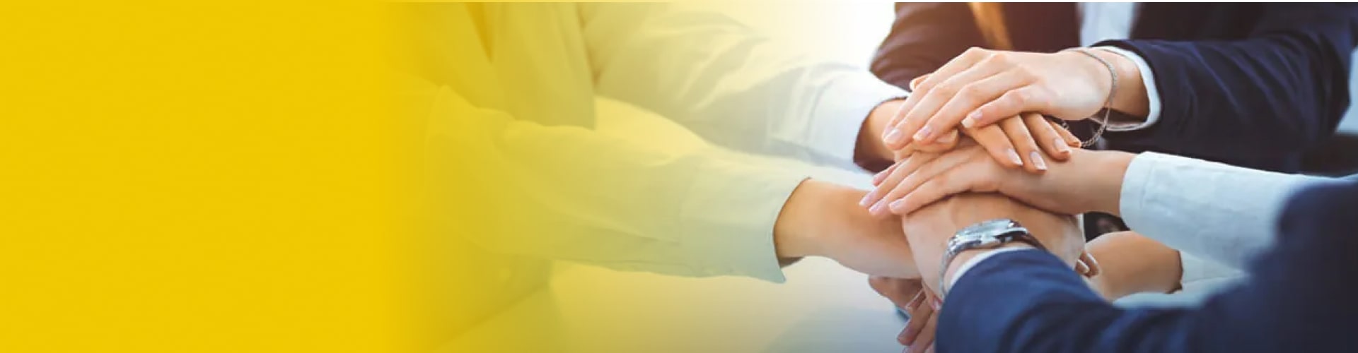 yl8cc永利智能科技丨AI+3D相机和机器视觉科技公司